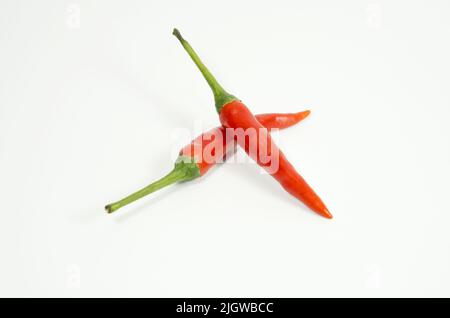 Due frutti maturi di peperoncini rossi piccanti piccanti isolati su sfondo bianco Foto Stock