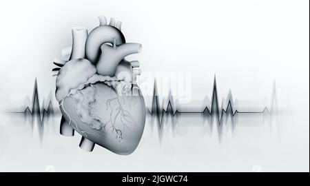 Allenamento cardio. Anatomia del cuore umano. Illustrazione di cuore, vene e arterie 3D. Battito cardiaco, stress, cardiogramma Foto Stock