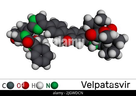 Molecola di Velpatasvir. È un inibitore di NS5A usato per trattare le infezioni croniche dell'epatite C. Modello molecolare. 3D rendering Foto Stock