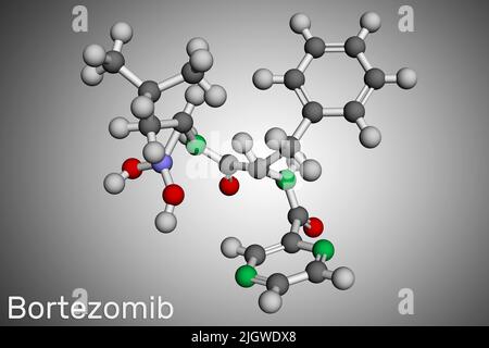 Molecola di bortezomib. È un farmaco antitumorale usato per trattare il mieloma multiplo e il linfoma a cellule mantellari. Modello molecolare. 3D rendering. Illustrazione Foto Stock