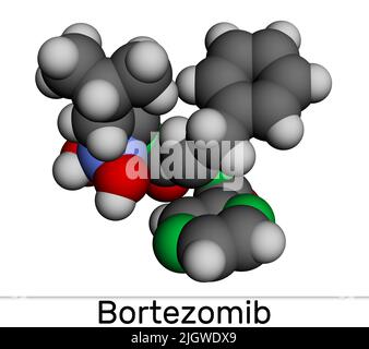 Molecola di bortezomib. È un farmaco antitumorale usato per trattare il mieloma multiplo e il linfoma a cellule mantellari. Modello molecolare. 3D rendering. Illustrazione Foto Stock