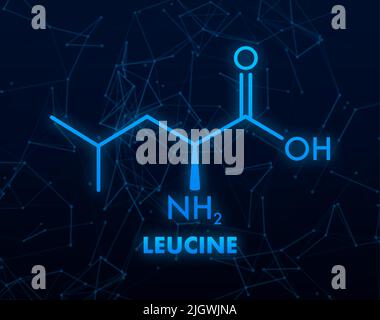 Icona con formula di leucina. Formula molecolare essenziale degli aminoacidi Illustrazione Vettoriale