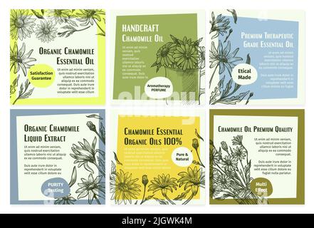 Set di banner per social media con olio naturale di camomilla Illustrazione Vettoriale