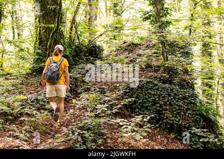 Vista posteriore della giovane donna in giallo con zaino a piedi nella foresta estiva tra piante verdi in estate attiva stile di vita bellezza in natura hikin Foto Stock