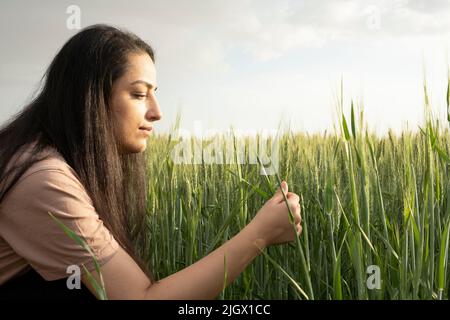 Agronomo femminile, in campo di grano verde agronomo femminile che tiene e controlla le orecchie di grano. Controlla la produttività dei suoi raccolti. Agricoltura moderna. Foto Stock