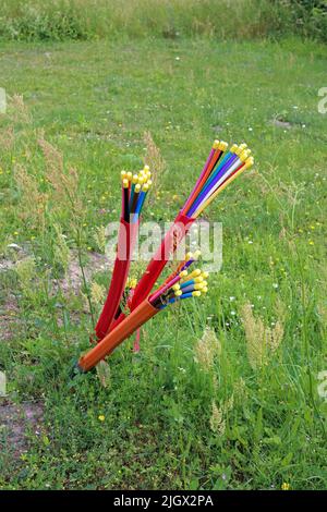 Cavi in fibra ottica tappati che sporgono da terra in una zona rurale della Germania settentrionale (Ruegen) Foto Stock