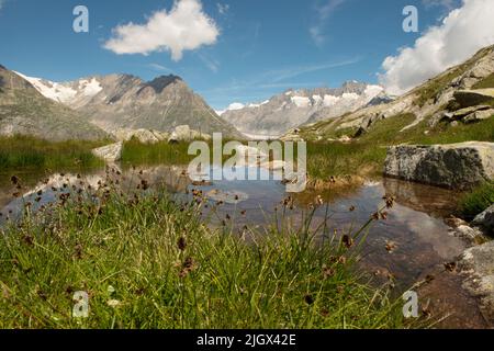 Paesaggio montano di Aletsch, Wallis, Svizzera Foto Stock