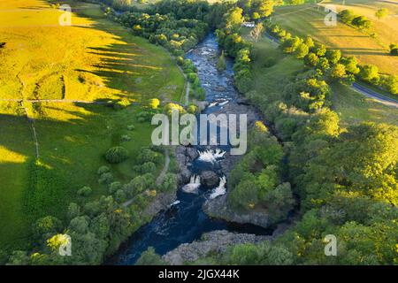 Il River Tees che scorre sopra la forza bassa in estate, Bowlees, Teesdale, contea di Durham, Regno Unito Foto Stock