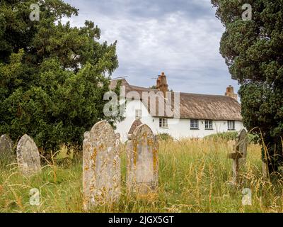 Cottage con tetto in paglia accanto al cortile a Woodbury, Devon Foto Stock