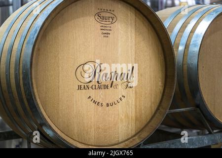 Frédéric Raspail mostra la cantina dove il crémant è prodotto nel modo tradizionale da uve Clairette. Saillans, Drôme, Francia Foto Stock