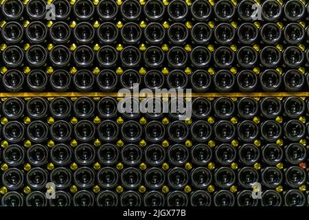 Frédéric Raspail mostra la cantina dove il crémant è prodotto nel modo tradizionale da uve Clairette. Saillans, Drôme, Francia Foto Stock