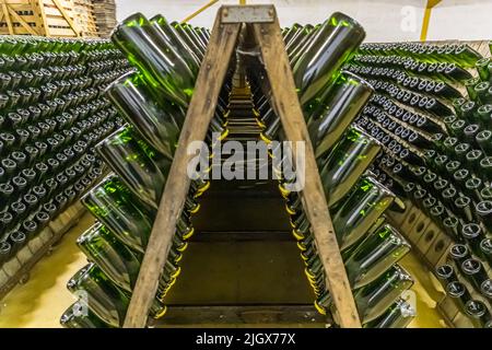 Frédéric Raspail mostra la cantina dove il crémant è prodotto nel modo tradizionale da uve Clairette. Saillans, Drôme, Francia Foto Stock