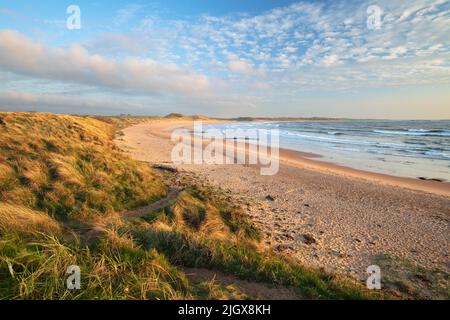 Spiaggia di Embleton Bay e dune di sabbia al mattino presto alla luce del sole in alta marea, Embleton, Northumberland, Inghilterra, Regno Unito, Europa Foto Stock