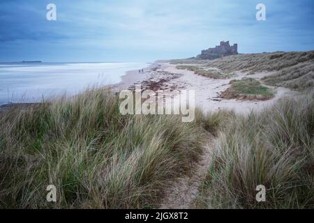 Dune di sabbia sulla spiaggia di Bambburgh con il Castello di Bambburgh in lontananza, Bambburgh, Northumberland, Inghilterra, Regno Unito, Europa Foto Stock