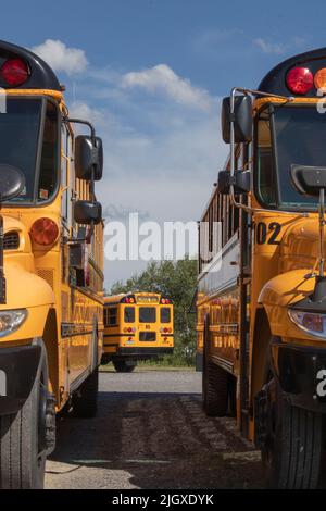 Big Yellow School Bus sono parcheggiati, pulito e lucido in attesa di portare i bambini o bambini a scuola. Foto Stock