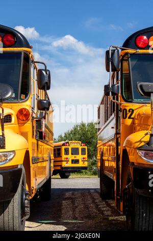 Big Yellow School Bus sono parcheggiati, pulito e lucido in attesa di portare i bambini o bambini a scuola. Foto Stock