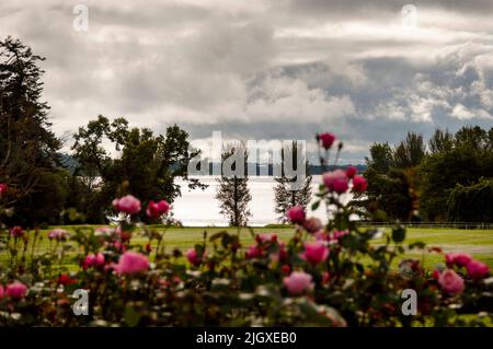 Loch Ramor in Virginia, Irlanda. Foto Stock