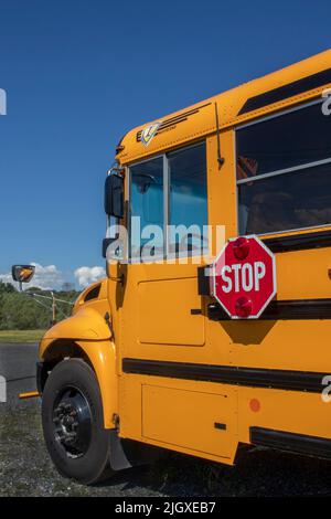 Big Yellow School Bus sono parcheggiati, pulito e lucido in attesa di portare i bambini o bambini a scuola. Foto Stock