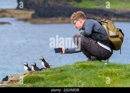 giovane persona che fotografa i pulcinelle sul bordo di una scogliera. Isola di lunga, Scozia, Regno Unito Foto Stock