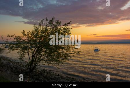 Tramonto con un albero sulla spiaggia del lago di garda Foto Stock