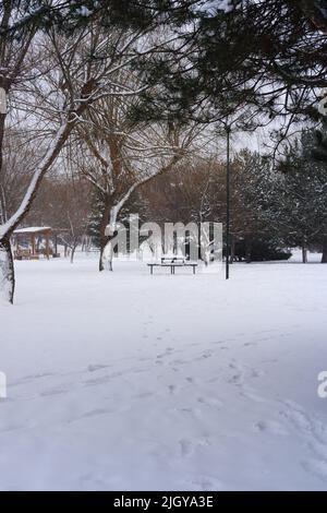 Pini e panchine sotto la neve in inverno Foto Stock