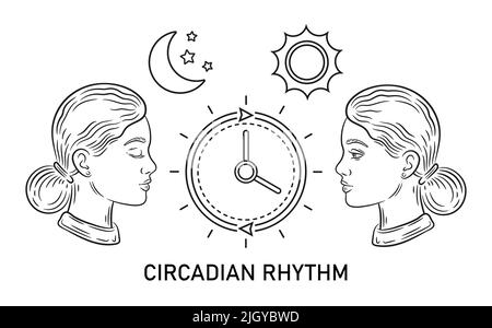 Ritmo circadiano, orologio biologico, regolazione del tempo di sonno, ciclo notturno del giorno della vita umana, icona del bioritmo interno. Donna addormentata o risveglio vettore programma Illustrazione Vettoriale