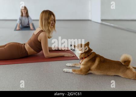 Il cane pratica yoga nella posa della cobra in studio. Le giovani donne meditando con l'animale domestico Foto Stock