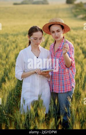 Giovane tecnico di laboratorio femminile in cappotto bianco e agricoltore femmina che controlla l'avanzamento del raccolto su tavoletta in campo di grano verde. Un nuovo raccolto di grano sta crescendo. Foto Stock