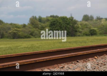 Disutilizzati binari arrugginiti in verde campagna Foto Stock