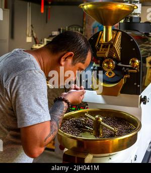 Il Sig. Thanh controlla i chicchi di caffè prima di passare alla fase successiva. Foto Stock