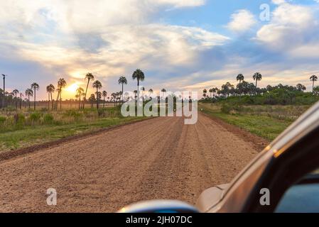 Tramonto drammatico nel Parco Nazionale di El Palmar, in Entre Rios, Argentina, un'area naturale protetta dove si trova la palma endemica di Butia yatay. Una dir Foto Stock