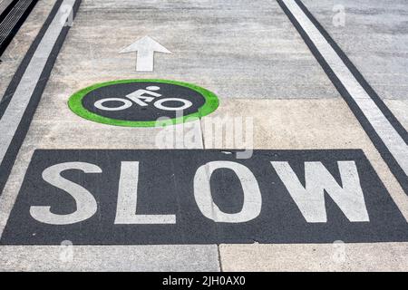 Segnale DI avvertimento sostituito LENTAMENTE sulla superficie di una corsia di ciclo designata specificamente per il movimento dei ciclisti in direzioni opposte Foto Stock