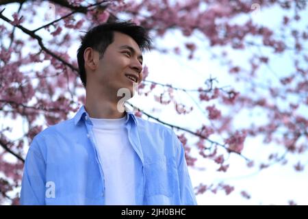 Sorridente bel giovane asiatico sotto il rosa sakura fiore albero. Vista ad angolo basso Foto Stock