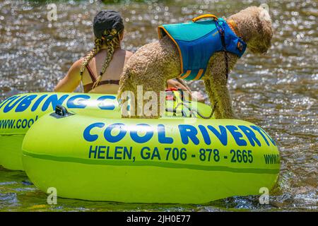 Donna che tuba lungo il suo Labradoodle con la sua vita sul fiume Chattahoochee a Helen, una città turistica alpina delle montagne della Georgia settentrionale. (USA) Foto Stock