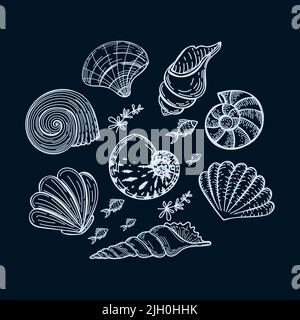 Set di creature marine in cerchio, disegnate a mano in stile schizzo. Cornice circolare con conchiglie, alghe e piccoli pesci. Biglietto d'auguri estivo su sfondo scuro Illustrazione Vettoriale