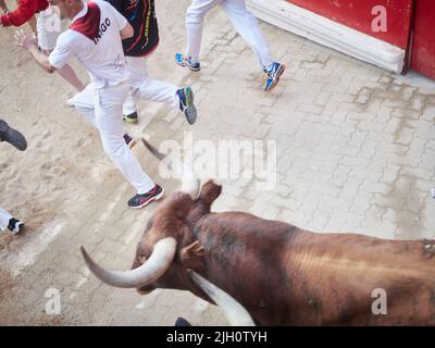 Pamplona, Spagna. 14th luglio 2022. Ottava e ultima corsa di toro delle feste di San Fermin a Pamplona, 14 luglio 2022. Octavo y último encierro de las fiestas de San Fermin en Pamplona, 14 de Julio de 2022. 900/Cordon Press Credit: CORDON PRESS/Alamy Live News Foto Stock