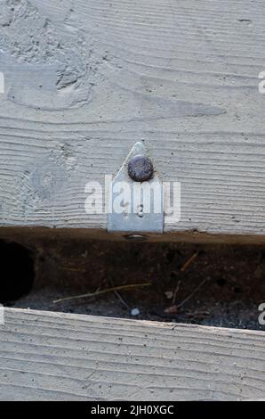 Un vecchio pannello da pavimento sporco con un'etichetta in alluminio. Sull'etichetta è stampigliato il numero 18. Tavole incrinate con spazi vuoti tra di loro. Vista dall'alto. Selectiv Foto Stock