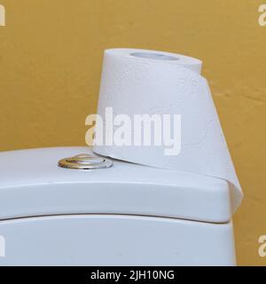 Carta igienica sul serbatoio della toilette Foto Stock