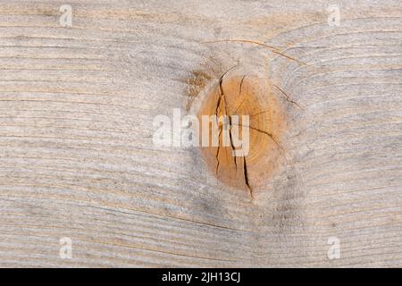 Knothole ad un asse di legno Foto Stock