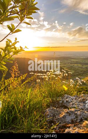 Spettacolare tramonto su una scenografica sporgenza rocciosa con splendidi fiori nelle Alpi Sveve nella Germania meridionale Foto Stock