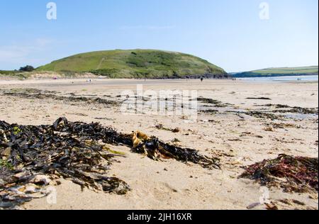 Daymer Bay, una spiaggia sull'estuario del Camel nella Cornovaglia del Nord, Regno Unito. Brea Hill (ortografia alternativa: Bray Hill o Brae Hill) è sullo sfondo. Foto Stock