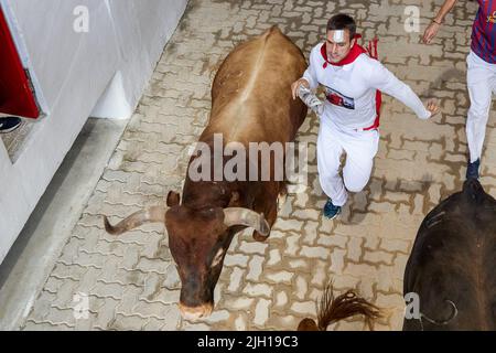 Pamplona, Spagna. 14th luglio 2022. Un runner corre accanto a diversi tori dell'ultima corsa dei tori delle feste di San Fermin 2022, a Pamplona. Credit: SOPA Images Limited/Alamy Live News Foto Stock