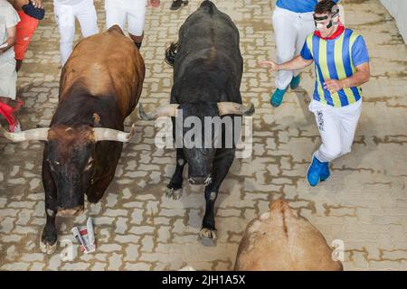 Pamplona, Spagna. 14th luglio 2022. Un runner corre accanto a diversi tori dell'ultima corsa dei tori delle feste di San Fermin 2022 a Pamplona. (Foto di Fernando Pidal/SOPA Images/Sipa USA) Credit: Sipa USA/Alamy Live News Foto Stock