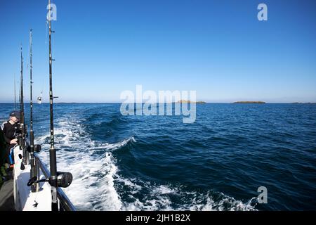 canne da pesca su una barca da pesca charter in mare al largo degli skerries portrush costa settentrionale irlanda del regno unito Foto Stock