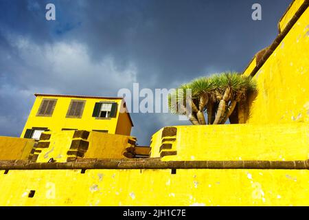 Il forte Fortaleza de Sao Tiago a Funchal, isola di Madeira, dipinto di giallo chiaro contro un cielo blu scuro, in drammatica luce della sera. Foto Stock