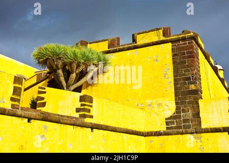 Il forte Fortaleza de Sao Tiago a Funchal, isola di Madeira, dipinto di giallo chiaro contro un cielo blu scuro, in drammatica luce della sera. Foto Stock