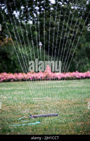 Coburg, Germania. 14th luglio 2022. Un prato irrigatore annaffi il prato nel giardino delle rose. Il dipartimento degli spazi verdi della città di Coburg acque piante e alberi nella zona della città. Credit: Daniel Vogl/dpa/Alamy Live News Foto Stock