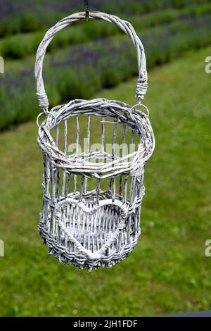 Un bel cestino bianco decorativo in metallo appeso in un giardino estivo soleggiato. In un giardino fiorito di lavanda Foto Stock