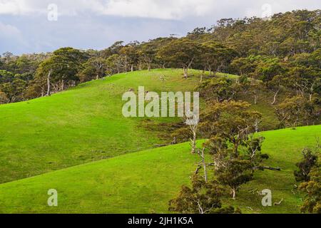 Paesaggio delle colline di Adelaide nella stagione invernale, Australia Meridionale Foto Stock