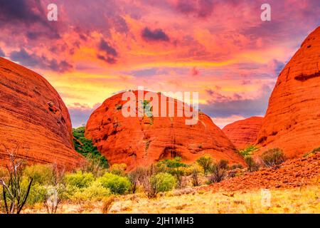 Outback Paesaggio, natura, in Australia Foto Stock